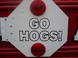 GoHogs.jpg image by jstdome